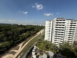 Blk 496C Tampines Street 43 (Tampines), HDB 5 Rooms #500016441